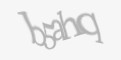 Захисний код